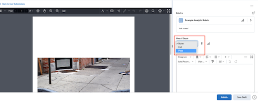Creating Pass/Fail Assignments - Centre for Teaching and Learning ...