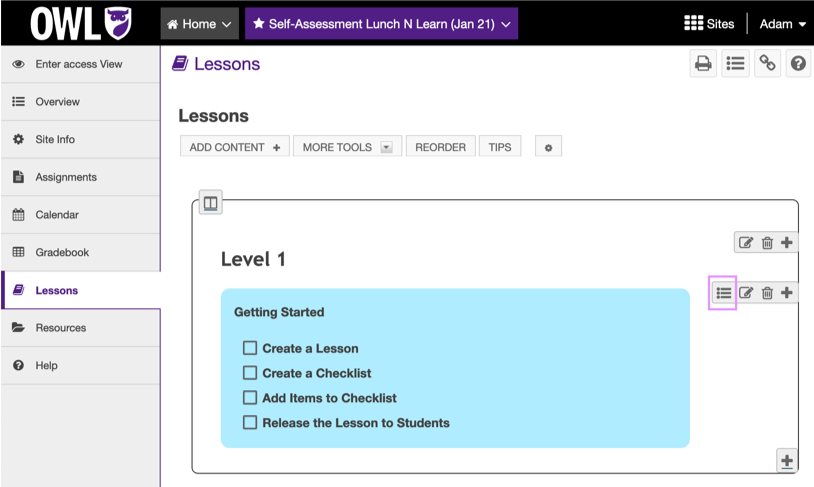 Above: An example Checklist added to a Lessons page.
