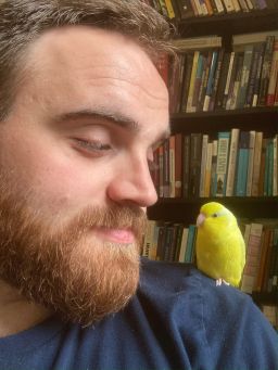 A white male with short reddish brown hair and a beard wearing a blue shirt. He has a yellow bird on his shoulder and is looking at it.