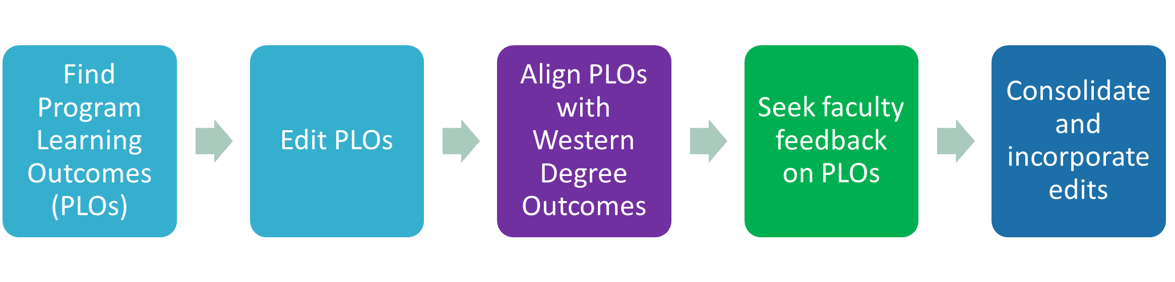 A diagram showing the process of updating learning outcomes: Find Program Learning Outcomes, Edit PLOs, Align PLOs with Western Degree Outcomes, Seek faculty feedback on PLOs, Consolidate and incorporate edits. 